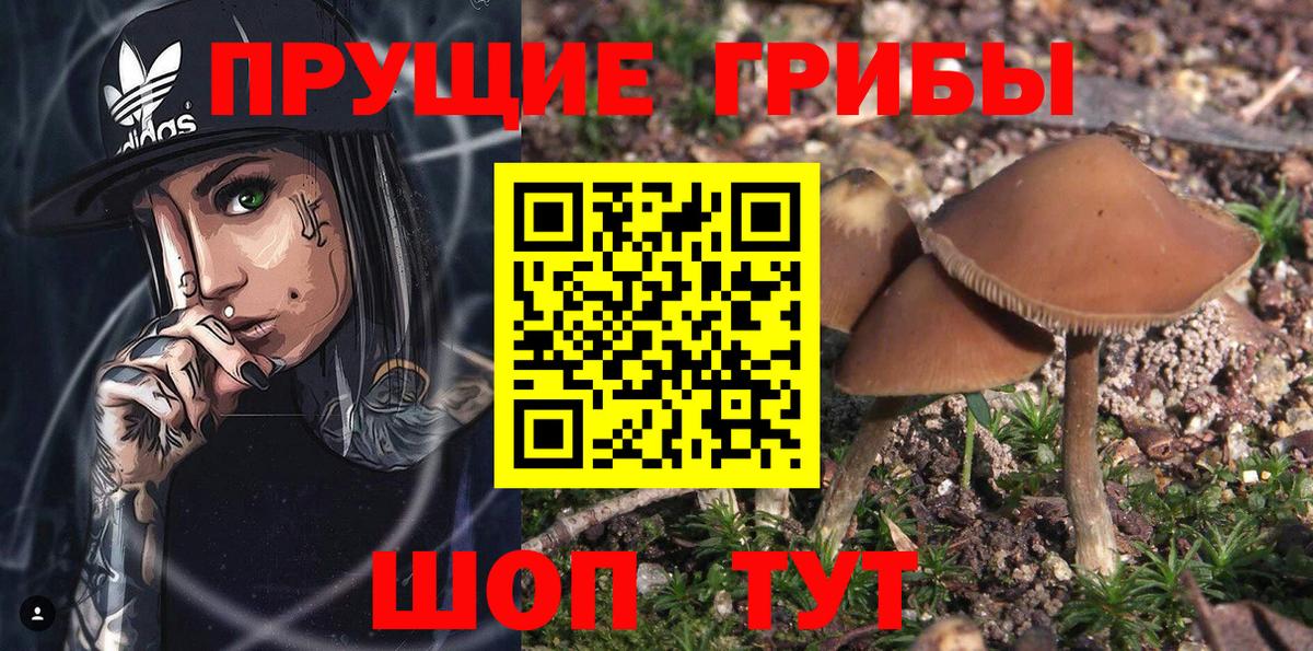 Галлюциногенные грибы MAGIC MUSHROOMS  Вход с VPN  Великий Устюг 